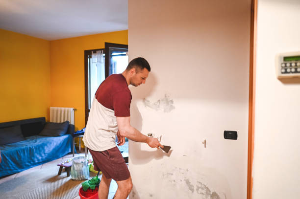 Best Attic Mold Remediation in Polk City, FL